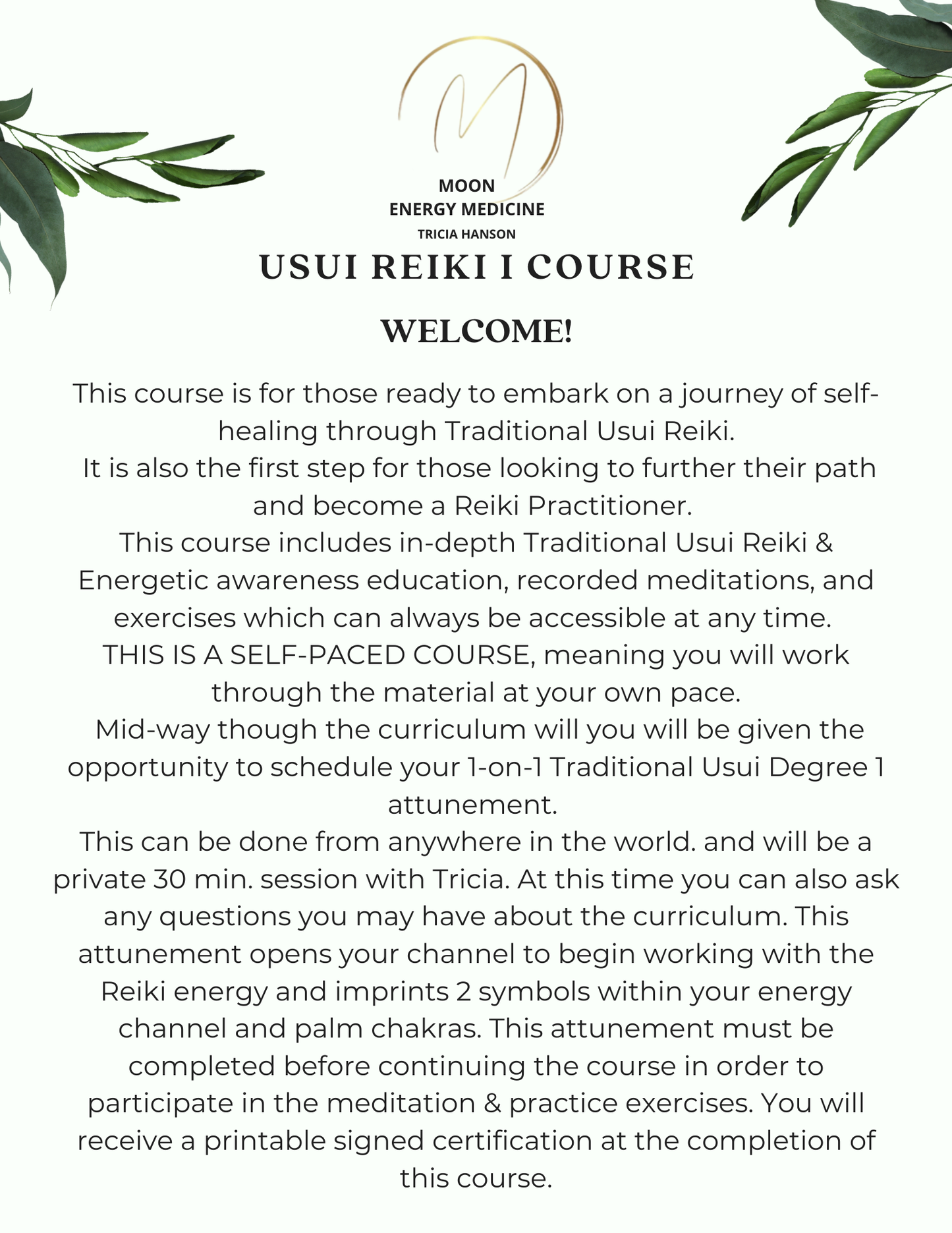 Usui Reiki I Course